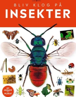 Insekter