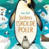 Jordens iskolde poler