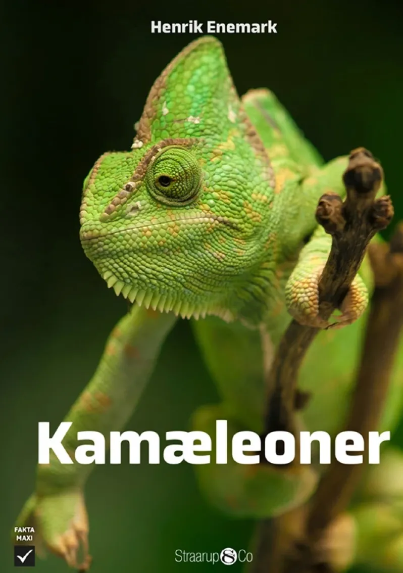 Kamæleoner