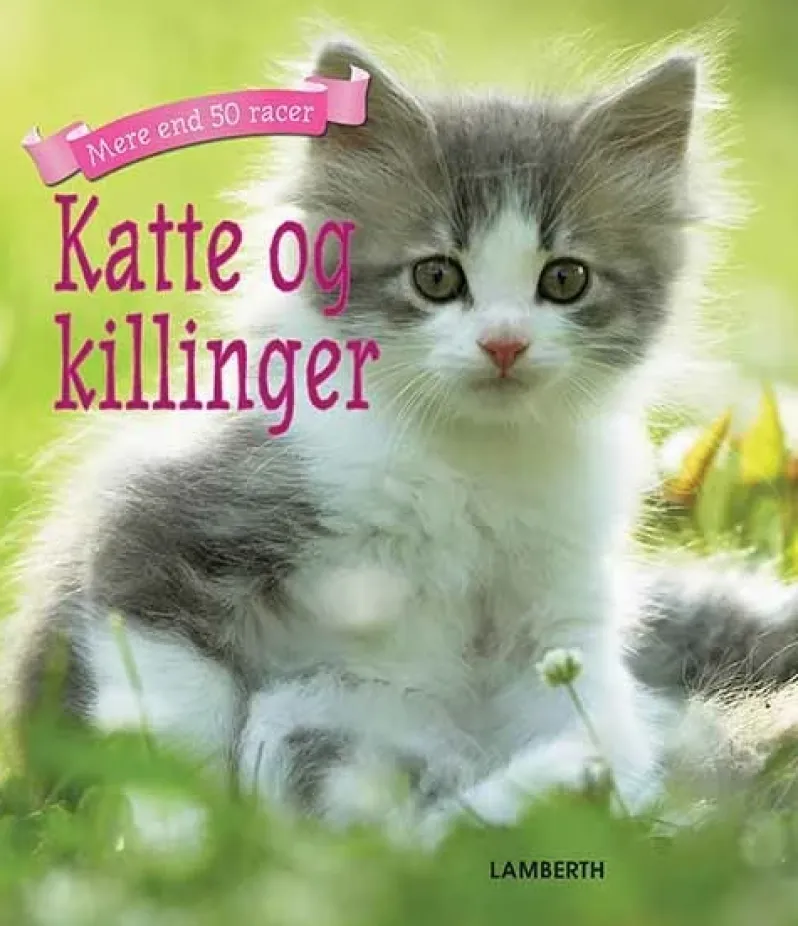 Katte og killinger