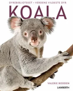 Koala