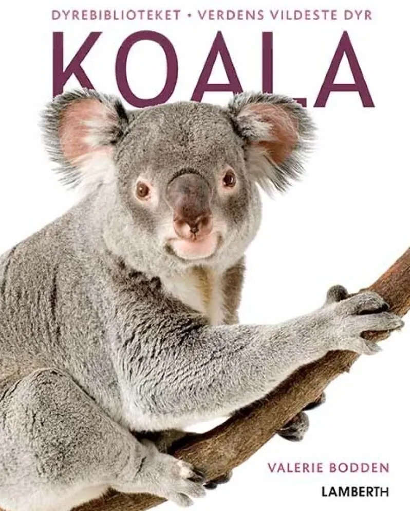 Koala