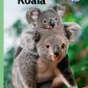 Koala, Grøn Fagklub