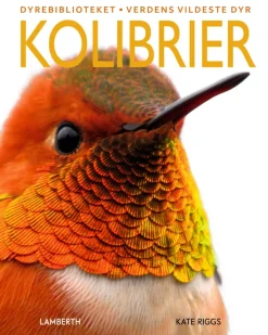 Kolibrier