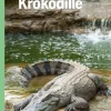 Krokodille, Grøn Fagklub