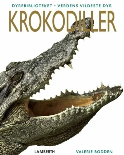 Krokodiller