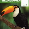 Livet i regnskoven
