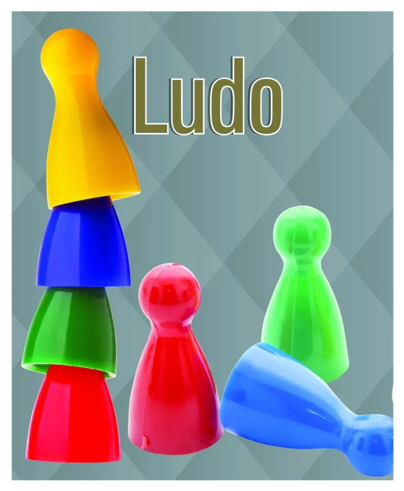Ludo 4 og 6 mands