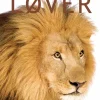 Løver