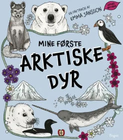Mine første arktiske dyr