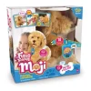 Moji the Lovable Labradoodle