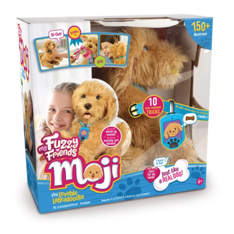 Moji the Lovable Labradoodle