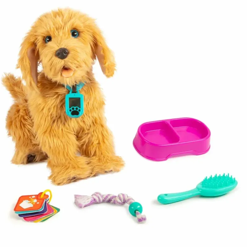 Moji the Lovable Labradoodle
