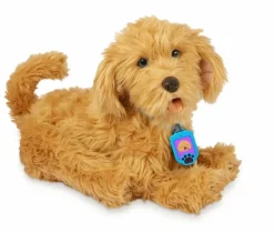 Moji the Lovable Labradoodle