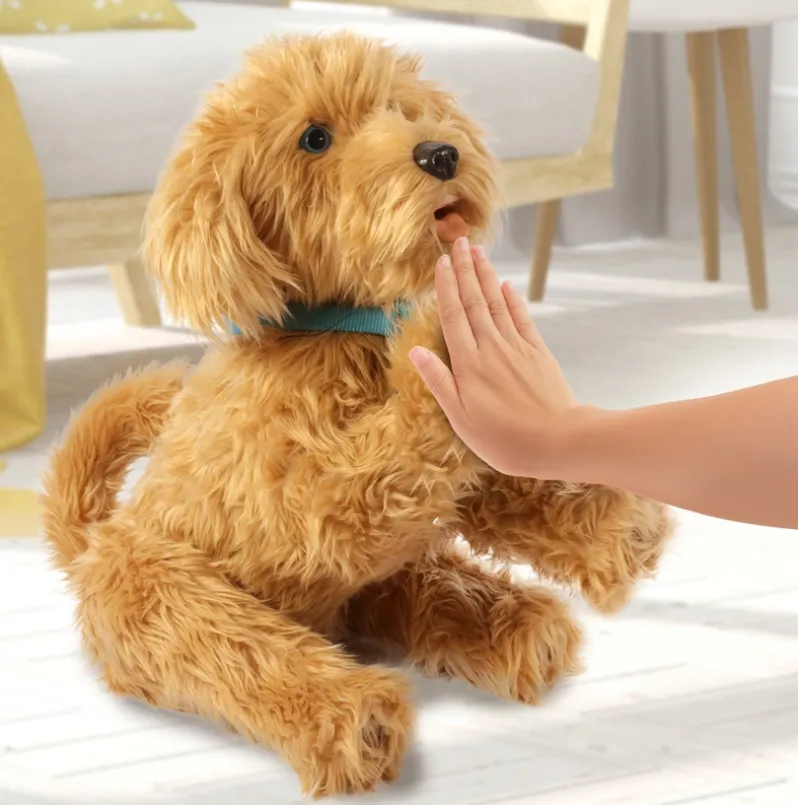 Moji the Lovable Labradoodle