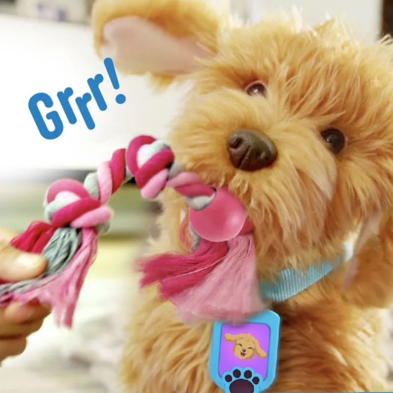 Moji the Lovable Labradoodle