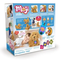 Moji the Lovable Labradoodle