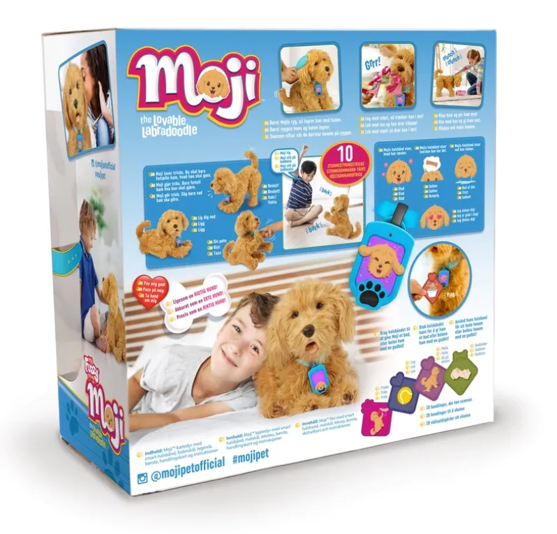 Moji the Lovable Labradoodle
