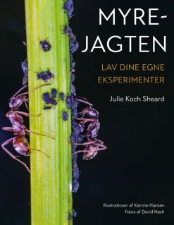 Myrejagten