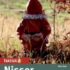 Nisser