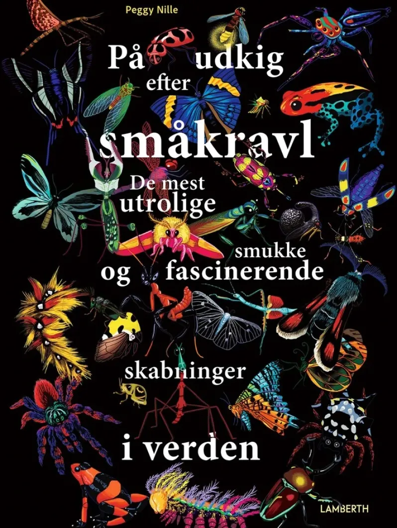 På udkig efter småkravl
