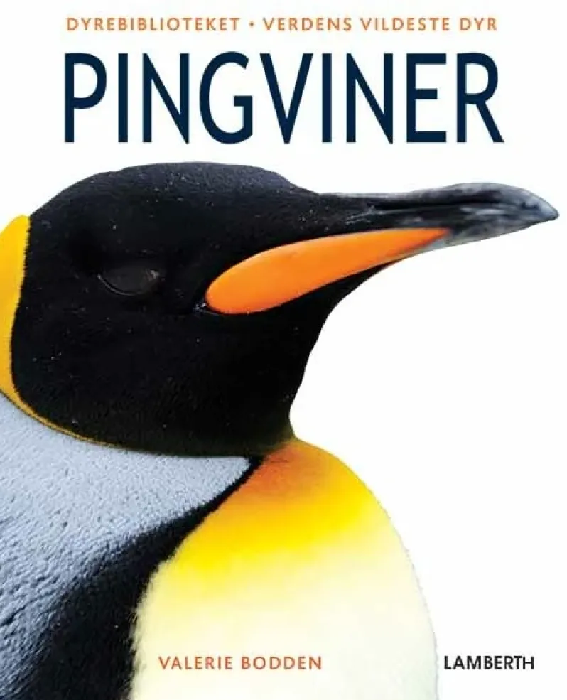 Pingviner