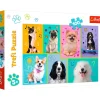 Puslespil In the world of dogs 100 brikker
