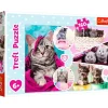 Puslespil Lovely kittens 160 brikker