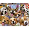 Puslespil Puppies Selfie Howard Robinson 1000 brikker
