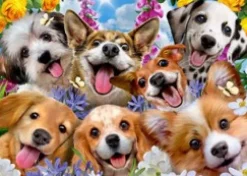 Puslespil Puppies Selfie Howard Robinson 1000 brikker