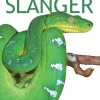 Slanger