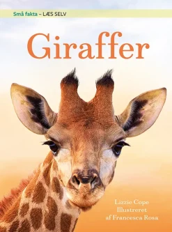 Små fakta: Giraffer