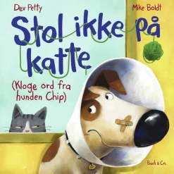 Stol ikke på katte