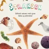Stranden