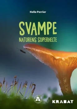 Svampe