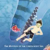 The Mystery of the Cretaceous Sea