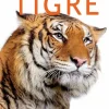 Tigre