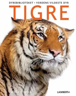 Tigre