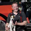 Traktorhunden Jack