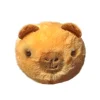 TY Barry capybara bouncer