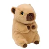 TY Lara capybara beanie bellies