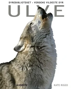 Ulve