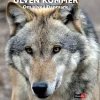 Ulven kommer
