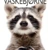 Vaskebjørne