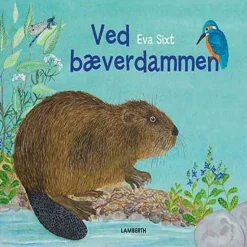 Ved bæverdammen