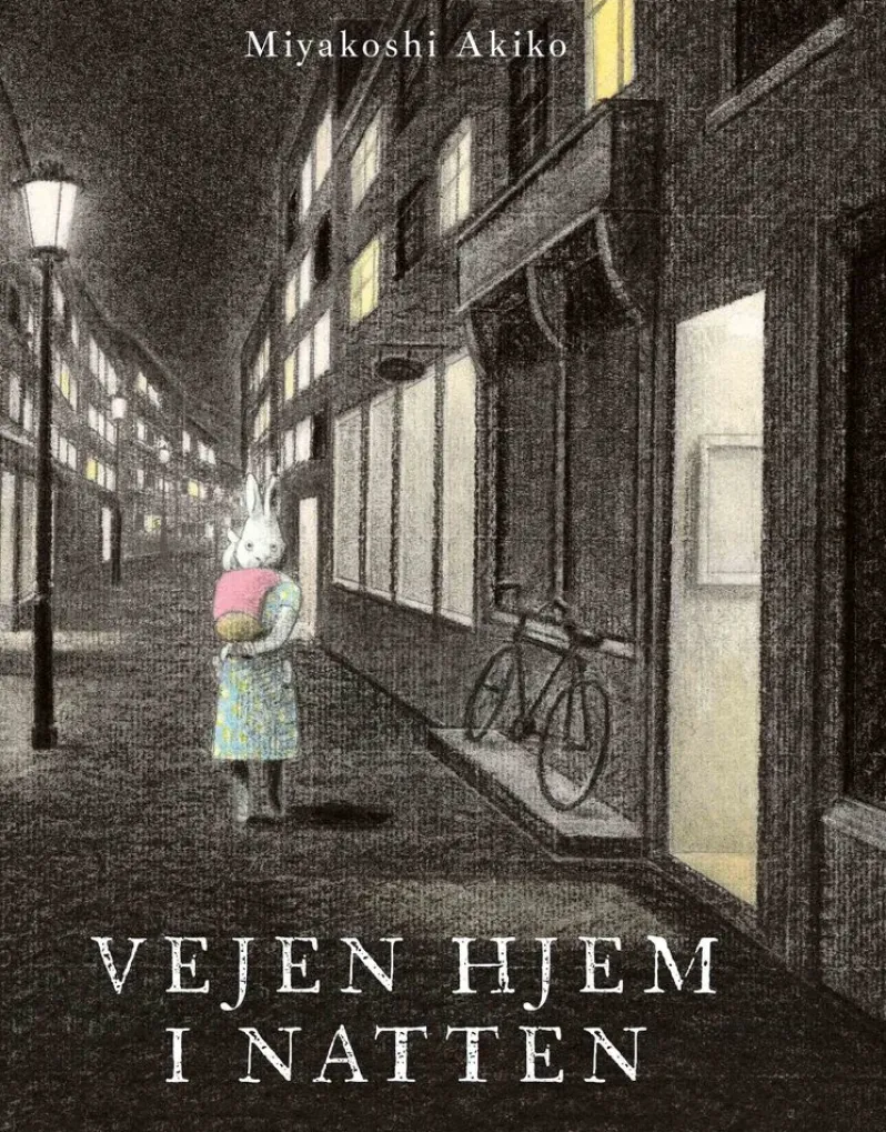 Vejen hjem i natten