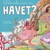 Vil du vide mere om havet?
