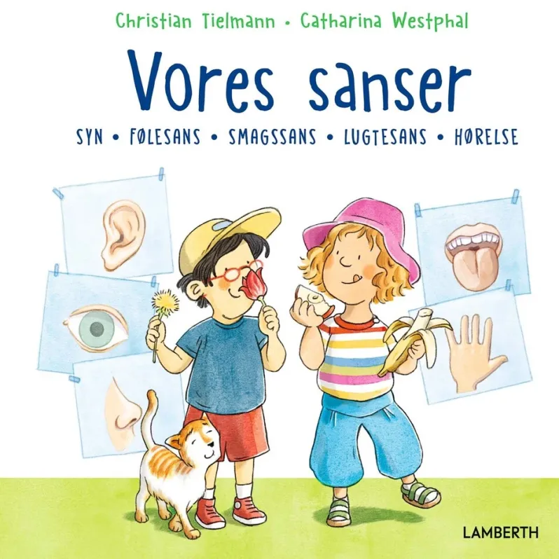 Vores sanser